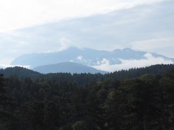 Like a Frenzied Fish: A Southerner Meets&nbsp;Carpathia