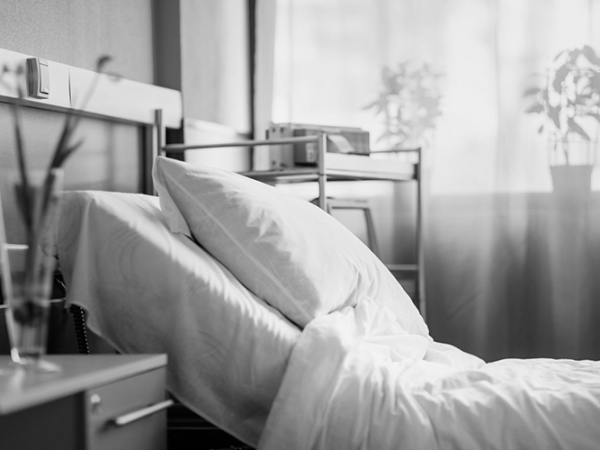 The Queen of North&nbsp;Street